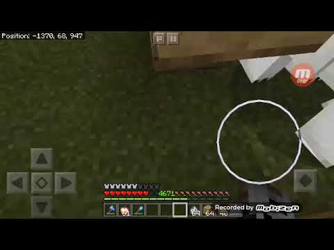 Polar bear apocalypse