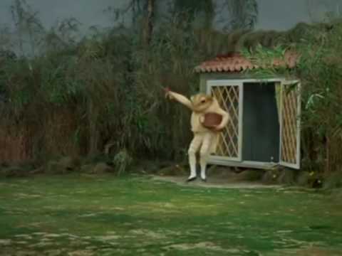 The Tale Of Mr  Jeremy Fisher - The Royal Ballet