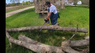 This is ONE way to get free wood for a firewood business.  Is it worth it?