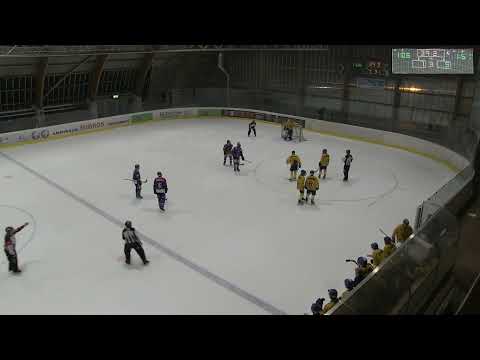 GCK Lions - HC Davos