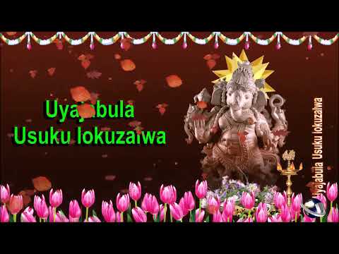 0 104 Zulu 24 seconds animated Happy Birthday Whatsapp Greeting Wishes