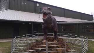 preview picture of video 'Moving dinosaur at Dinosaur Adventure, Norfolk'