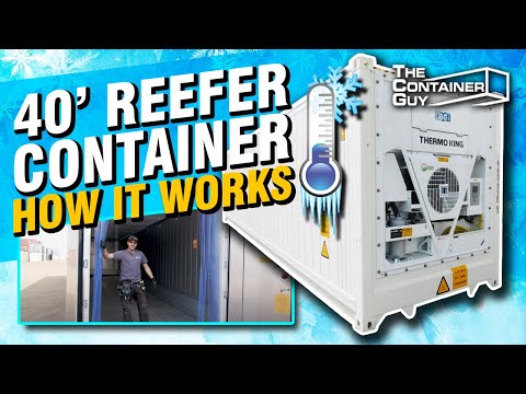 20 Feet MS Refrigerated Container Rental Service