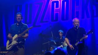 The Buzzcocks - Why Can&#39;t I Touch It - Live at Webster Hall NYC 2017-06-09