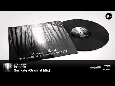 Indamix - Surikate (Original Mix)