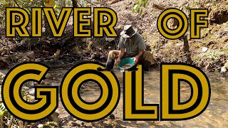 Solo backpacking and gold prospecting in Uwharrie National Forest!
