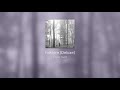 FULL ALBUM Taylor Swift Folklore Deluxe