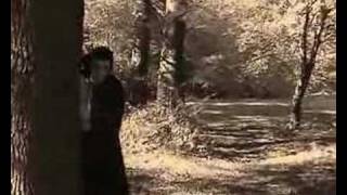 Dracula&#39;s Wedding