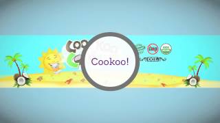 preview picture of video 'Cookoo for Coconut Flour Sale on Ebay for Gluten Free Flour'