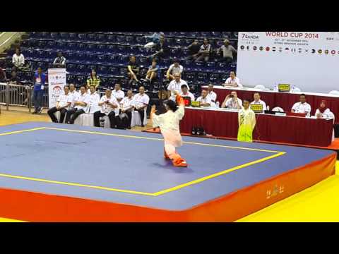 Lindswell Taiji 7th SanDa World cup opening