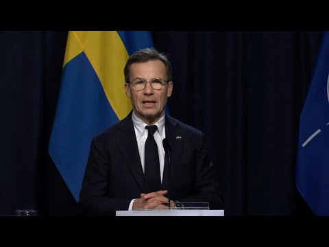Sweden sends 'formal request' to China to cooperate over cut cables | AFP