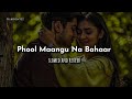 Phool Maangu Na Bahaar Maangu Slowed And Reverb Udit Narayan Alka Yagnik Raja KuberEditz