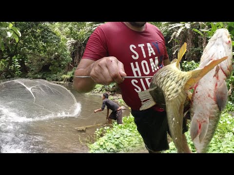 SE03EP068 - Pagka BUHAY ng " DALUBHASA "  ISANG PUTOK,  DALAWANG MAMAW ang TUHOG | San Pablo City
