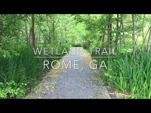 Wetland Trail