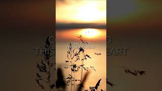 In the hands of the potter Lyrics - Casting crowns