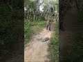 Snake Vs Soldier