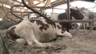 Le matelas chaux-paille