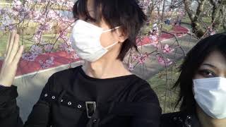 【桜なう】フルメイクして桜の咲く公園へ行ってみた　2
