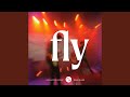Fly (feat. David Vallier)
