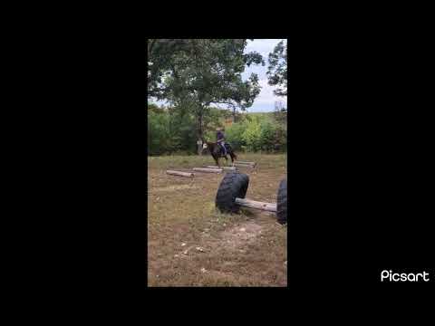youtube preview