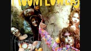 Moonflowers  - Get Higher (The 