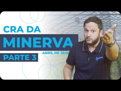 💣 CRA da Minerva (Parte 3/3) Muito risco pra pouco retorno? | Análise completa da empresa