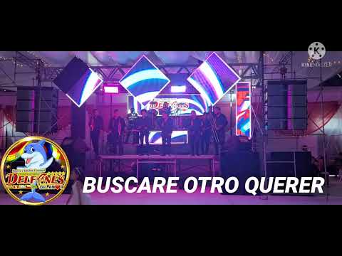LOS DELFINES DEL AMOR EN VIVO 2022  - BUSCARE OTRO QUERER