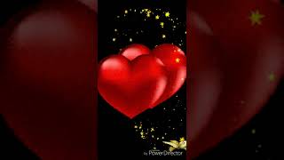 BOSSON  ❤  Always On My Mind