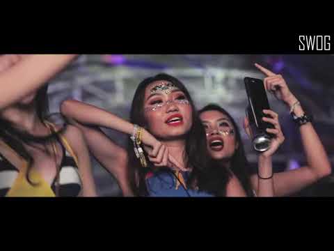 Alison Wonderland , Slushii & Flux Pavilion   Know Your Love Music Video SWOG Mashup