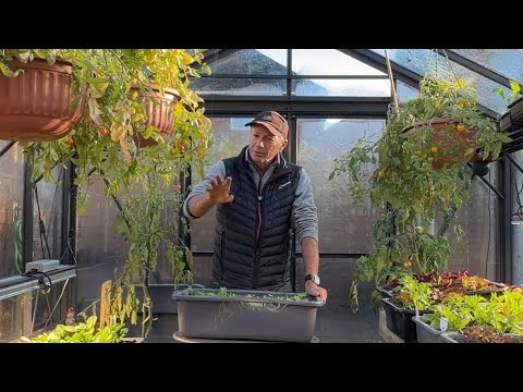 December Gardening: Sow & No-Sow Choices for Soil Health