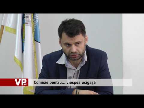 Comisie pentru… viespea ucigașă