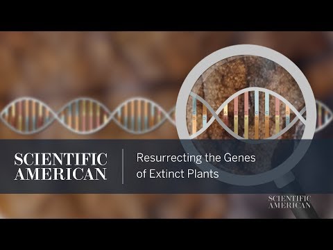 Resurrecting the Genes of Extinct Plants