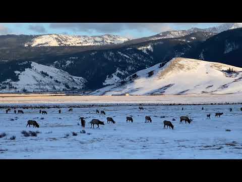 A sunny afternoon drive in Jackson Hole.