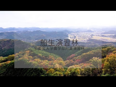 宇都宮大学農学部附属船生演習林〔ドローン空撮動画〕 Drone footage of Utsunomiya University Forests in Funyu