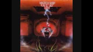 Manilla Road - War in Heaven