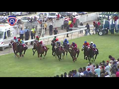 RM3 R8 - Stock Broker | O.Placais