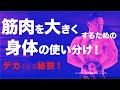筋肉が大きくならない人は、高重量を扱う時とパンプアップさせる時の身体の使い方を分けられていない