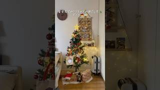 留学生あるある？なクリスマスイブ当日🎅🎁 #ドイツ留学 #ドイツ在住 #クリスマス #shorts