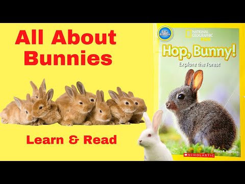 , title : 'Bunny Rabbit facts! All about Bunnies! Interesting Facts about bunnies for KIDS. Hop, Bunny!'