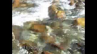 preview picture of video 'Хайдаркан, ноябрь 2004 (3-я часть). Галуян, фабрика, плов у Тахира, Зайцевы'