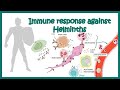 Immune Response Against Worms Helminths
