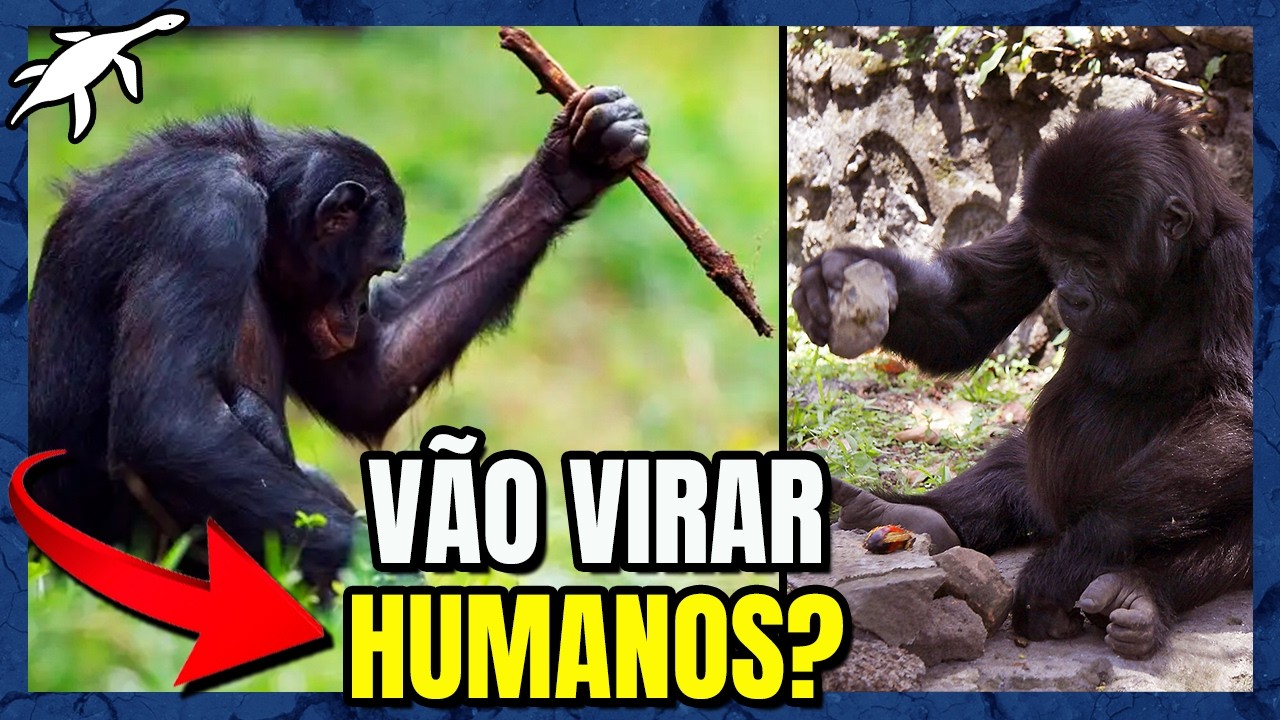 MACACOS que ESTÃO na IDADE da PEDRA!