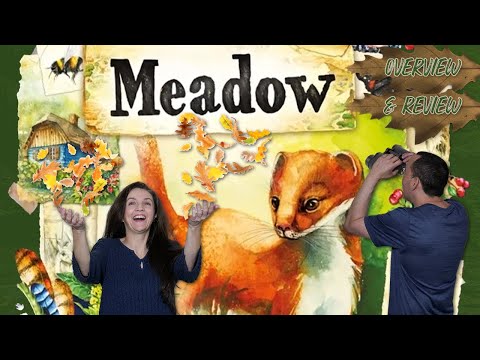 Meadow Overview & Review