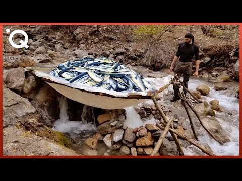 Geniale Reusen hergestellt mit primitiver Ausrüstung | Überleben im Wald