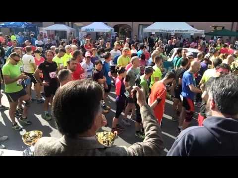 Dairago Spring Run 2k16 - Pronti, partenza...