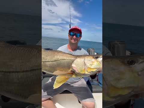 Snook, Róbalo, Bahía Solano Colombia.