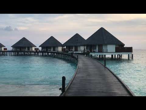 Videos del Adaaran Prestige Water Villas 5★ en Raa Atoll, MaldivasVer MásVerPrecios18CerrarConsulta por Whatsapp 🇦🇷BookingTripadvisorExpediaAgodaTravelocityOrbitzPricelineTripSkyscannerDespegarKayakHotelesDestiniaTrivagoLastminuteHotwireTuiWotif