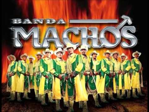 Banda Machos: La culebra- La reina de las Bandas
