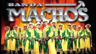 Banda Machos Chords