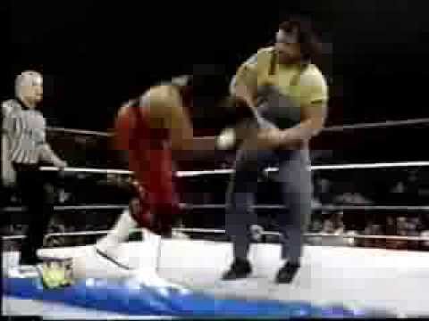 The Godwinns vs Larry Sampson and Mike Starr